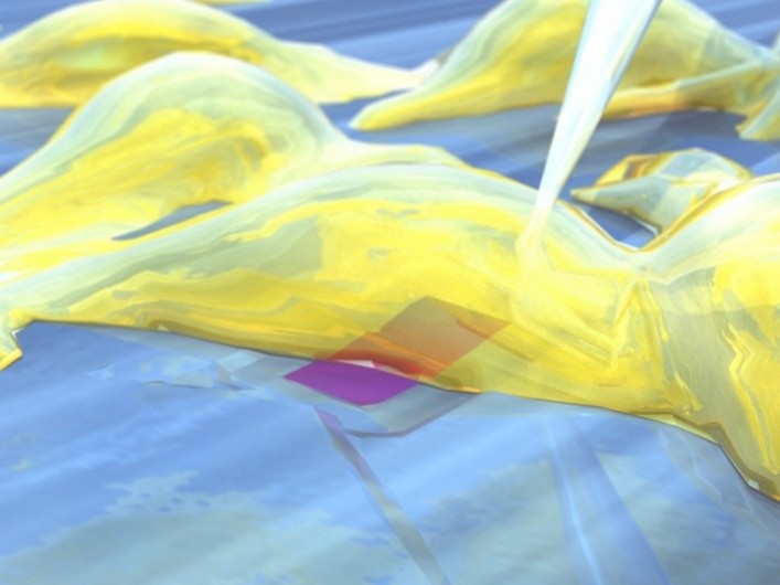 View of tissue on FET device with patch clap.