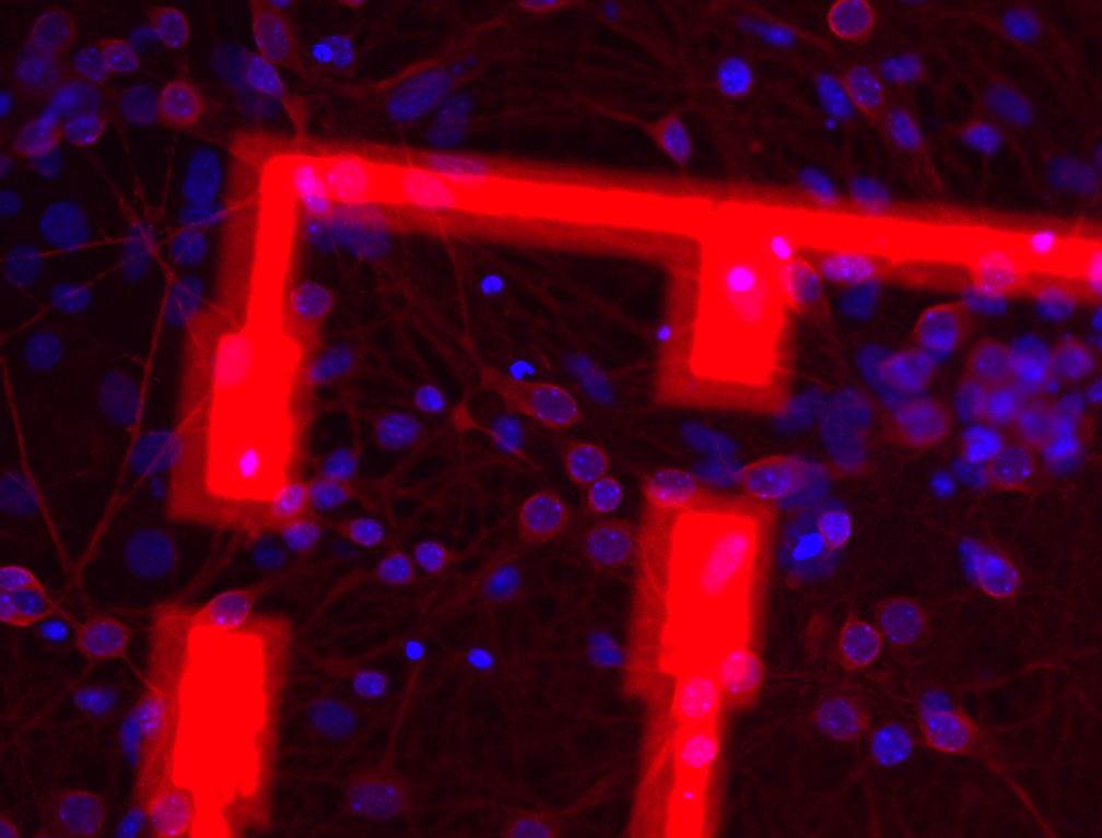 Physical Interactions